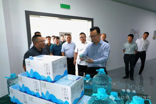 酉阳县委书记祁美文 构建“五有”经济生态，实现高质量协同发展